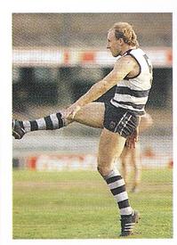 1991 Select AFL Stickers #125 Gary Ablett Front